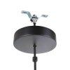 Eglo AYESGARTH Pendant Light black, 1-light source