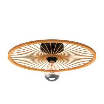 Eglo LEOMINSTER Ceiling Light black, 1-light source