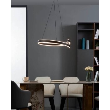 Eglo ANDABAIA-Z Pendant Light LED black, 1-light source