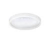 Eglo MONTEMORELOS-Z Ceiling Light LED white, 1-light source, Colour changer