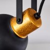 Ceiling Light Blackburn black-gold, 4-light sources