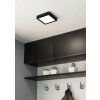 Eglo FUEVA Ceiling Light LED black, 1-light source