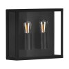 Eglo ALAMONTE Outdoor Wall Light black, 2-light sources