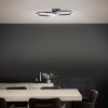 Brilliant Bray Ceiling Light LED black, white, 1-light source