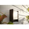 Philips Hue White Fuzo Outdoor Wall Light LED black, 1-light source