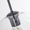 Koyoto  Pendant Light glass 25 cm clear, 1-light source