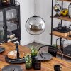 Koyoto  Pendant Light glass 25 cm clear, Smoke-coloured, 1-light source