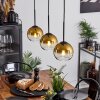 Koyoto  Pendant Light glass 15 cm gold, clear, 3-light sources