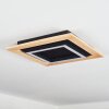 Tojeirinha Ceiling Light LED Light wood, black, 1-light source, Remote control