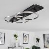 Pompu Ceiling Light LED black, 2-light sources