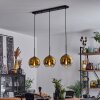 Koyoto  Ceiling Light glass 20 cm gold, clear, 3-light sources