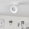 Especiosa Ceiling Light white, 1-light source