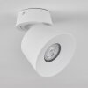 Especiosa Ceiling Light white, 1-light source