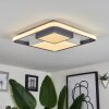 Casqueira Ceiling Light LED grey, white, 1-light source
