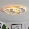 Selim Ceiling Light LED white, 1-light source, Remote control