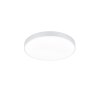 Trio Waco Ceiling Light LED white, 1-light source