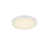 Trio Waco Ceiling Light LED white, 1-light source