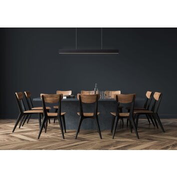 Lucide RAYA LED Pendant Light black, 1-light source