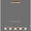 Paul Neuhaus HYDRA Pendant Light LED brass, 5-light sources
