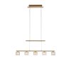Paul Neuhaus HYDRA Pendant Light LED brass, 5-light sources