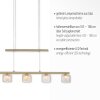 Paul Neuhaus HYDRA Pendant Light LED brass, 5-light sources