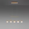 Paul Neuhaus HYDRA Pendant Light LED brass, 5-light sources