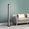 Paul Neuhaus PURE-LINES Floor Lamp LED anthracite, 1-light source, Remote control