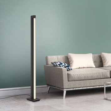 Paul Neuhaus PURE-LINES Floor Lamp LED anthracite, 1-light source, Remote control