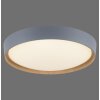 Paul Neuhaus Q-EMILIA Ceiling Light LED grey, Wood like finish, 1-light source, Remote control