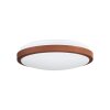 EGLO COMPETA Ceiling Light LED white, 1-light source