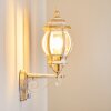 Lentua Outdoor Wall Light gold, white, 1-light source, Motion sensor