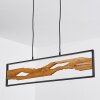 Nevogilde Pendant Light LED black, 1-light source