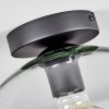 Koyoto  Ceiling Light glass 30 cm clear, 1-light source