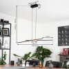 Meiral Pendant Light LED black, 2-light sources