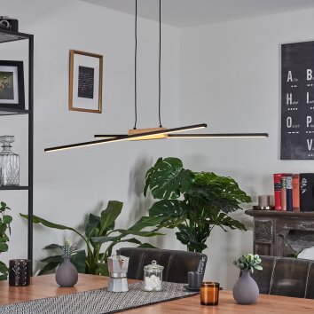 Meiral Pendant Light LED black, 2-light sources