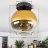 Koyoto  Ceiling Light glass 20 cm gold, clear, 1-light source