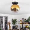 Koyoto  Ceiling Light glass 20 cm gold, clear, 1-light source