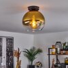 Koyoto  Ceiling Light glass 25 cm gold, clear, 1-light source