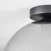 Koyoto  Ceiling Light glass 30 cm clear, Smoke-coloured, 1-light source
