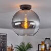Koyoto  Ceiling Light glass 30 cm clear, Smoke-coloured, 1-light source