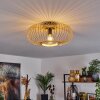 Oravi Ceiling Light Ecru, 1-light source