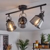 Safari Ceiling Light black, 3-light sources