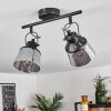 Safari Ceiling Light black, 2-light sources