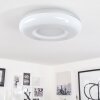 iDual Daphnis Ceiling Light LED silver, white, 1-light source, Remote control, Colour changer