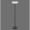 Paul Neuhaus Q-ETIENNE Floor Lamp LED black, 1-light source, Remote control