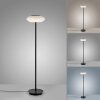 Paul Neuhaus Q-ETIENNE Floor Lamp LED black, 1-light source, Remote control