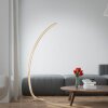 Paul Neuhaus Q-VITO Floor Lamp LED brass, 1-light source, Remote control