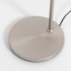 Steinhauer Turound Floor Lamp LED brushed steel, 1-light source