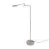 Steinhauer Turound Floor Lamp LED brushed steel, 1-light source
