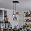 Koyoto  Pendant Light glass 15 cm, 20 cm, 25 cm chrome, clear, Smoke-coloured, 3-light sources